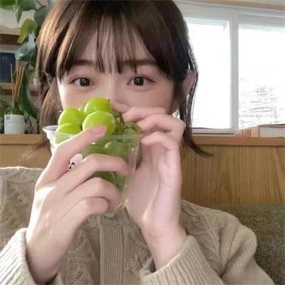 养育者第四季